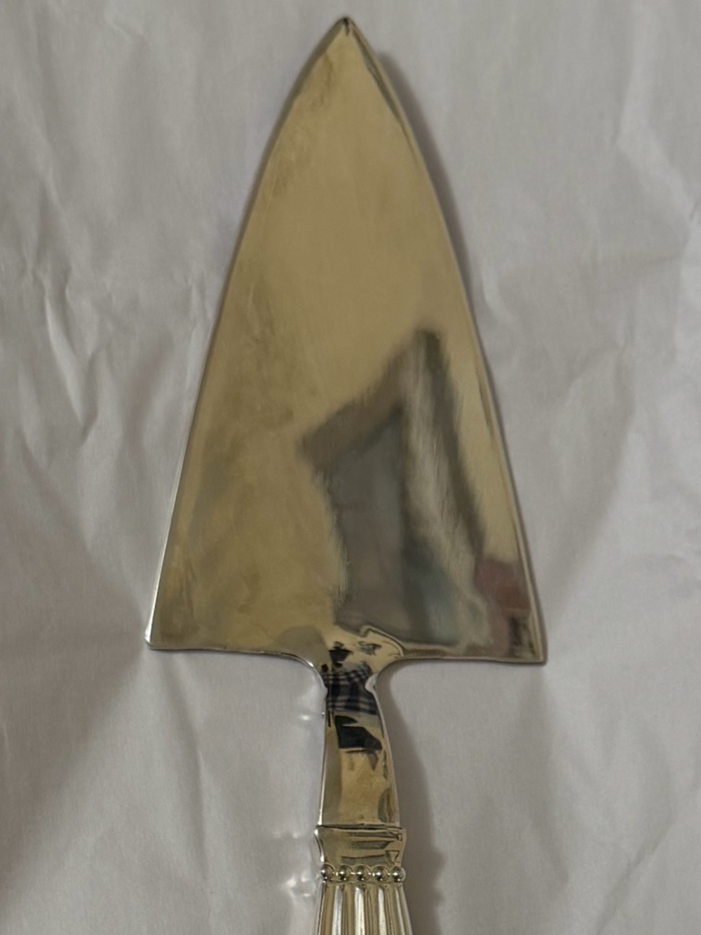 WALLACE Silver Cake Server - Picture 7 of 12